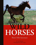 Wild Horses: Black Hills Sanctuary cover