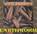 Earthworm cover