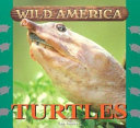 Turtles cover