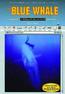 The Blue Whale cover