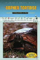 The Gopher Tortoise cover