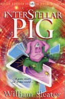 Interstellar Pig cover