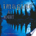 Imagine a Night cover