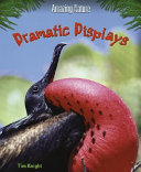 Dramatic Displays cover