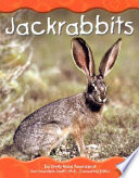 Jackrabbits cover