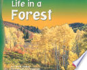 Life in a Forest cover
