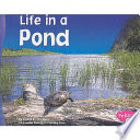 Life in a Pond cover