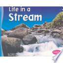 Life in a Stream cover