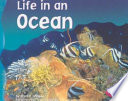 Life in an Ocean cover