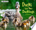 Ducks and Their Ducklings cover
