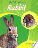 The Life Cycle of a Rabbit cover
