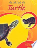 The Life Cycle of a Turtle cover
