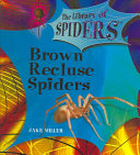 Brown Recluse Spiders cover