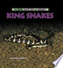 King Snakes (The Really Wild Life of Snakes) cover