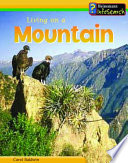 Living on a Mountain cover