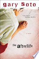 The Afterlife cover