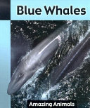 Blue Whales cover