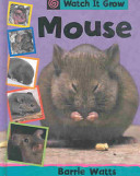 Mouse cover
