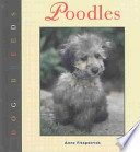 Poodles cover