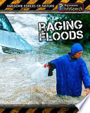 Raging Floods cover