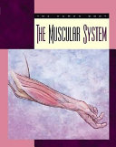 The Muscular System (2004) cover