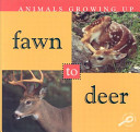 Fawn to Deer cover