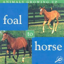 Foal to Horse cover