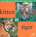 Kitten to Tiger cover