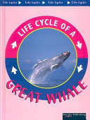 Great Whale cover