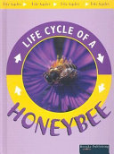 Honeybee cover