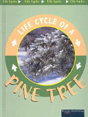Pine Tree cover
