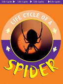 Spider cover