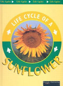 Sunflower cover