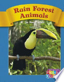 Rain Forest Animals cover
