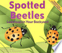 Spotted Beetles: Ladybugs in Your Backyard cover