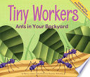 Tiny Workers: Ants in Your Backyard cover