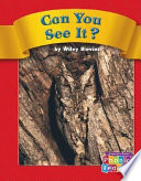 Can You See It? cover