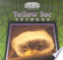 Yellow Sac Spiders cover