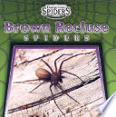 Brown Recluse Spiders cover