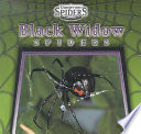Black Widow Spiders cover