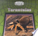 Tarantulas cover