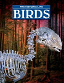 Birds cover