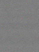 Presidents' Day cover