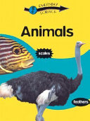 Animals cover