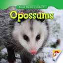 Rain Forest Animals cover