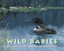Wild Babies cover