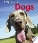Dogs cover