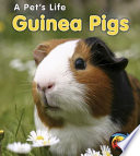 Guinea Pigs cover