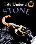 Life Under a Stone cover