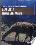 Life at a High Altitude cover